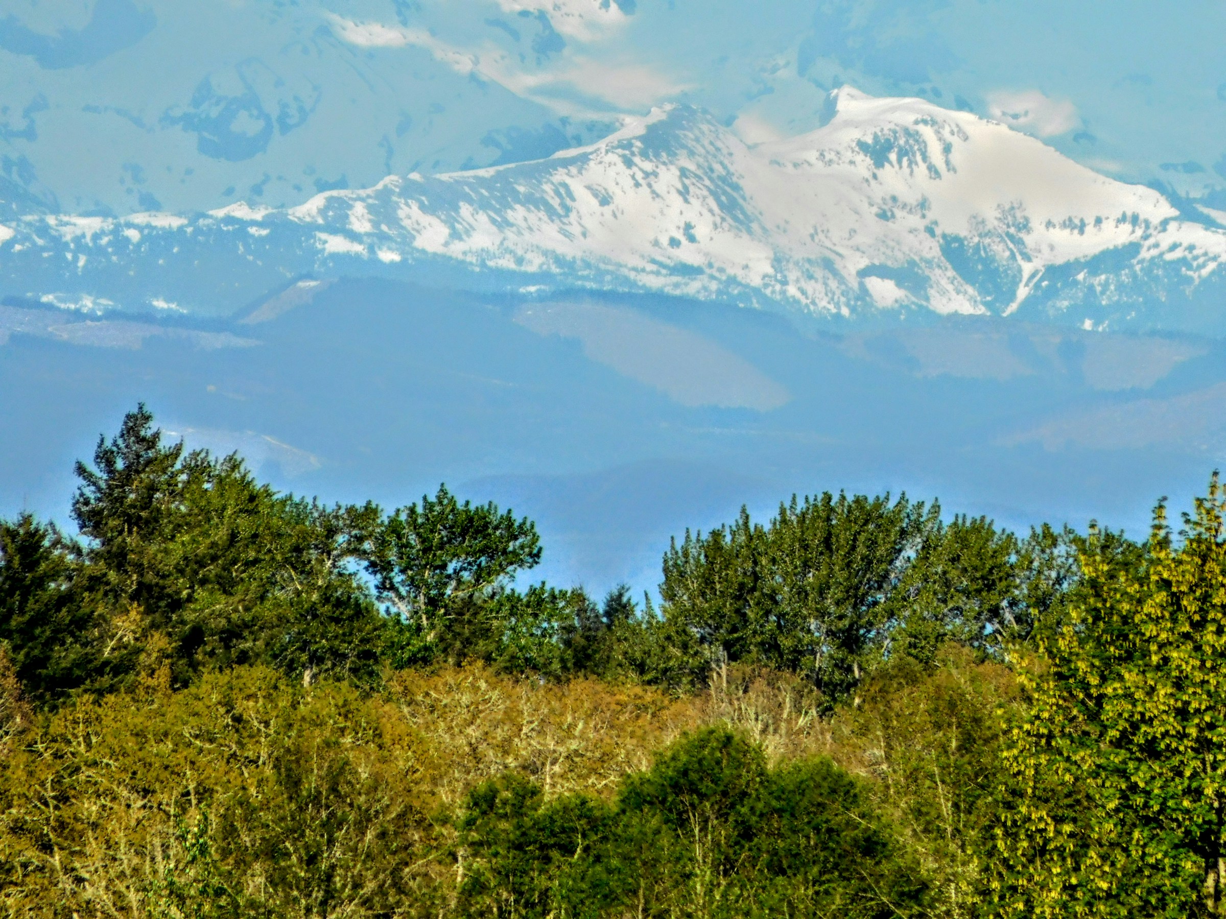 Mount Rainier in soft Pacific Northwest light.